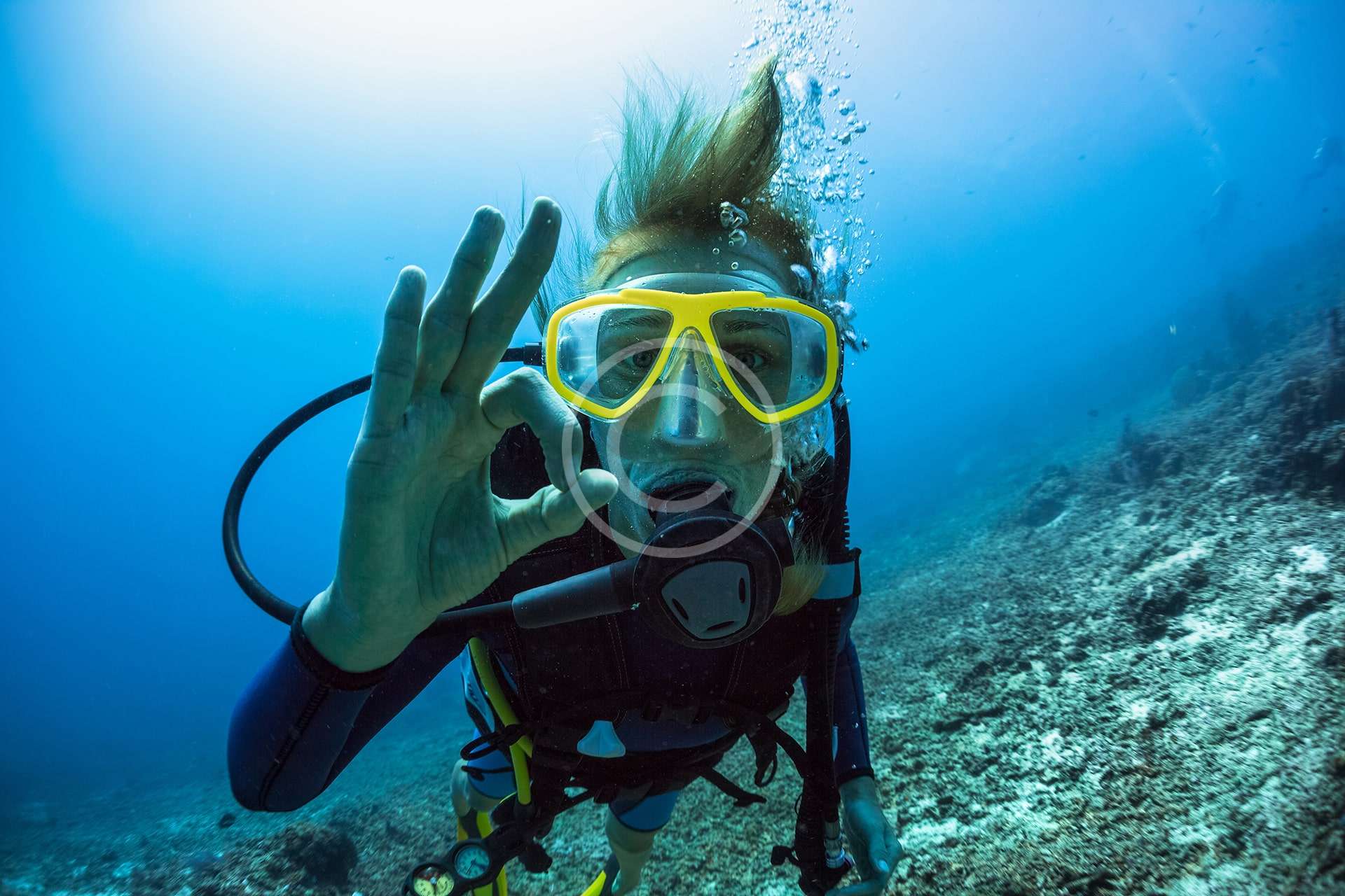 Open Water Scuba Diving